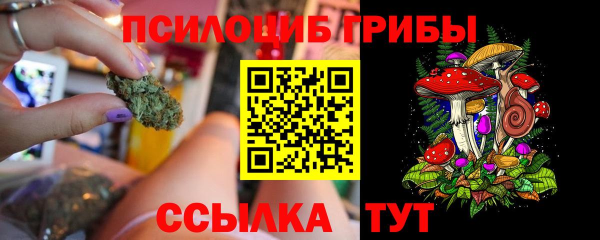 Галлюциногенные грибы прущие грибы  Вход с VPN  Кулебаки 